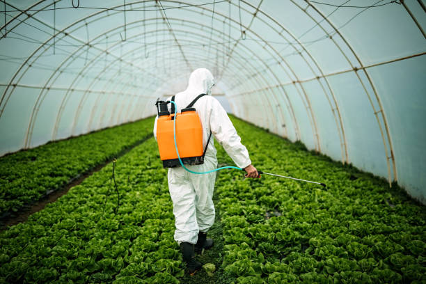 Best Local Pest Control Services  in Dickson, TN