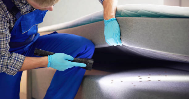 Trusted Dickson, TN Pest Control Experts