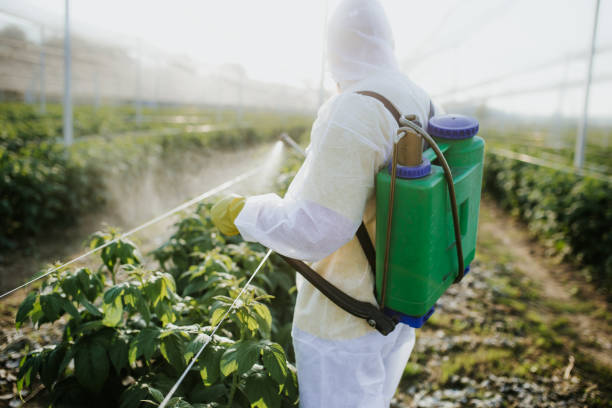 Best Flea Control Services  in Dickson, TN